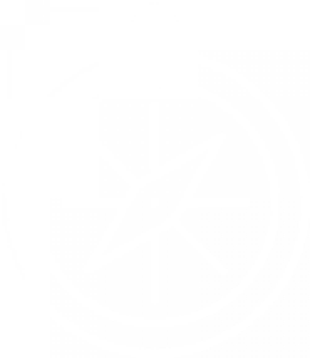 icon_executivecoaching