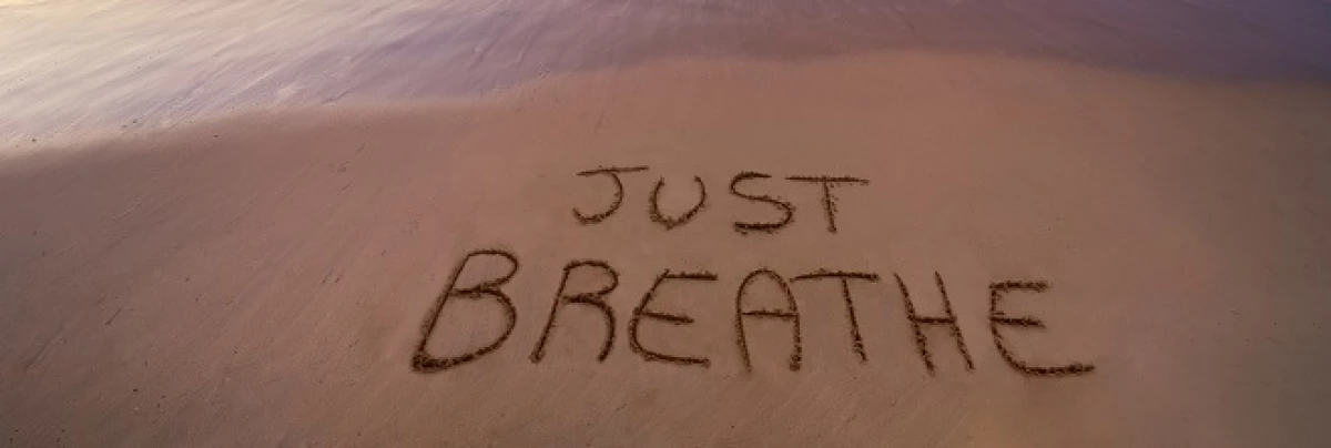 iStock-1214263196-Robertobinettii70-480-A