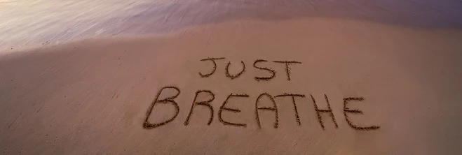 iStock-1214263196-Robertobinettii70-480-A