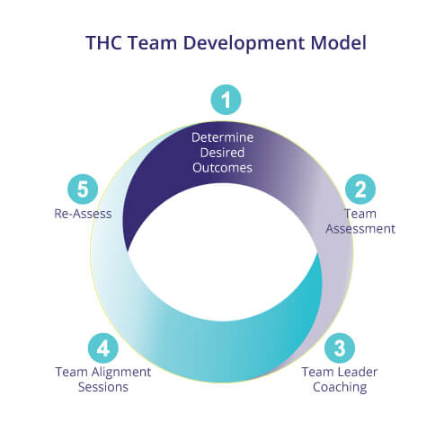 THC Team Development Model