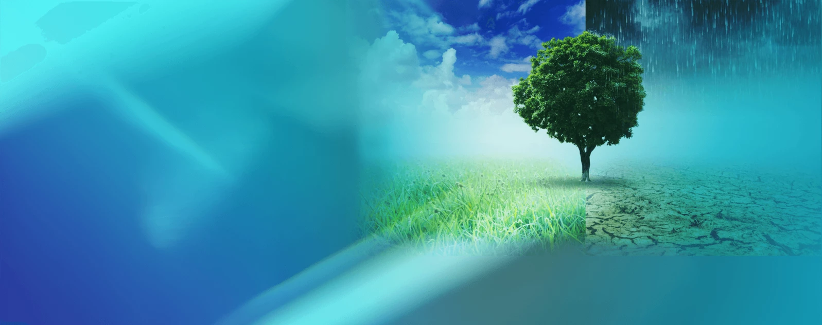 Shit+ Banner_layers resized