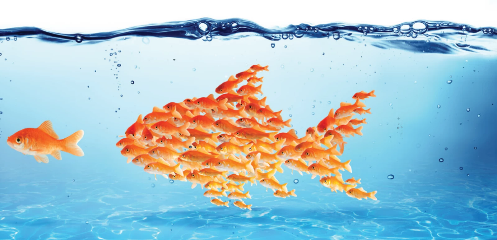 Leadership Teams Supported by The Heffelfinger Company