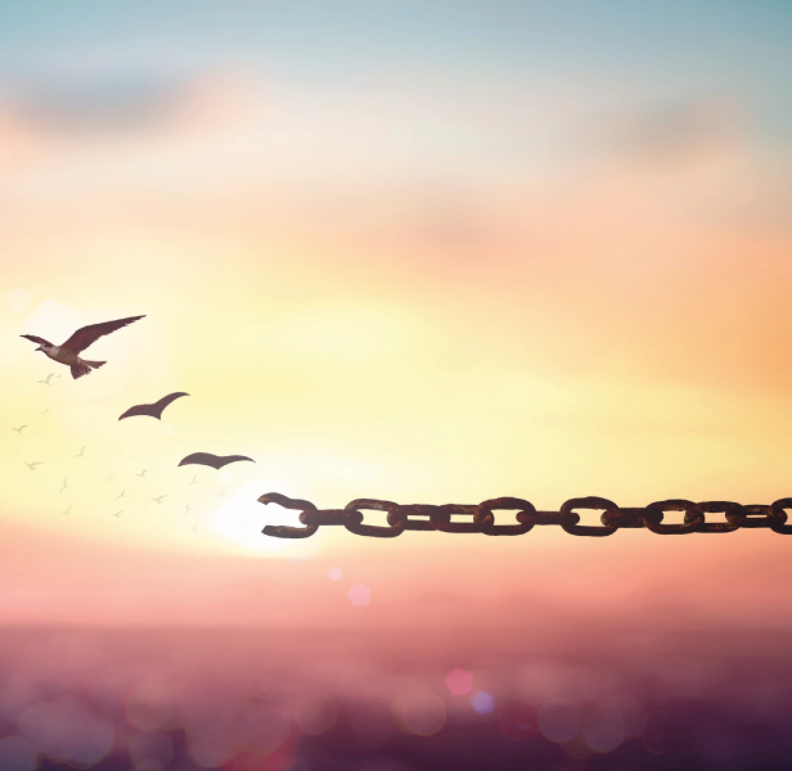 We coach execs + exec teams, enterprise, & functional managers to: