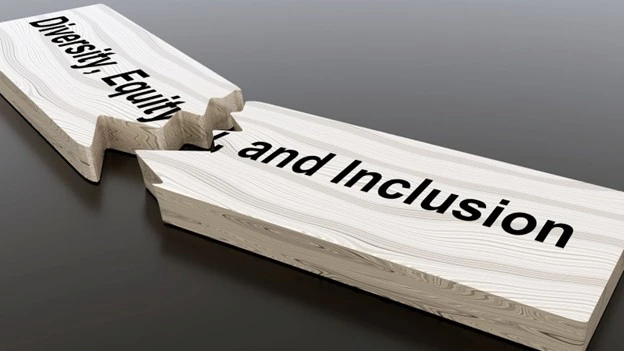 Diversity and Inclusion photo